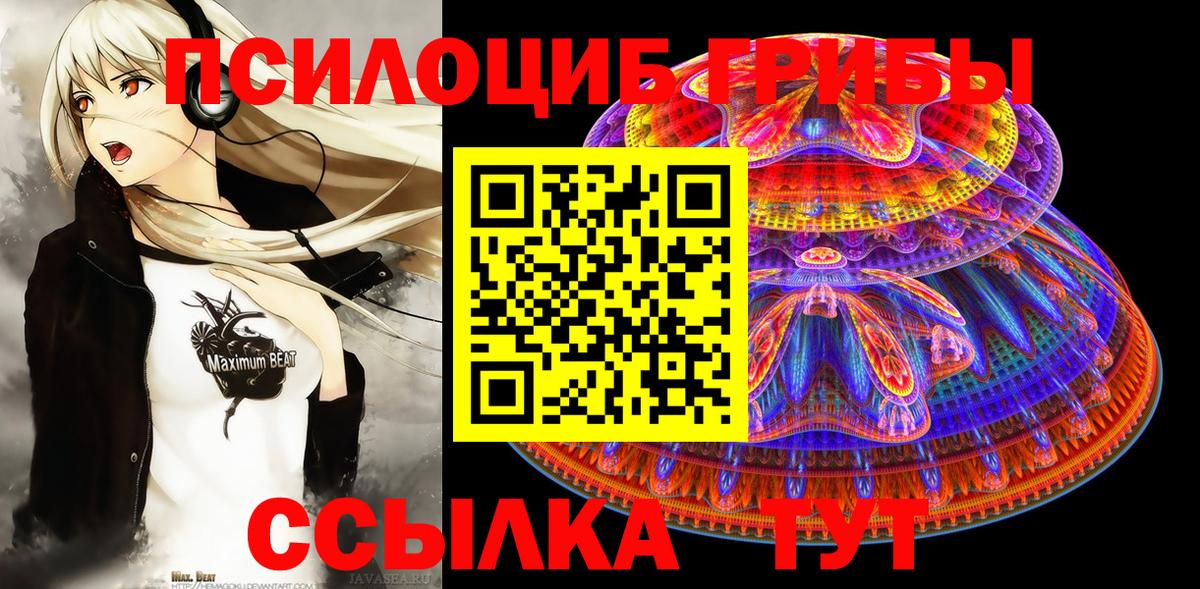 Псилоцибиновые грибы Psilocybe Сызрань