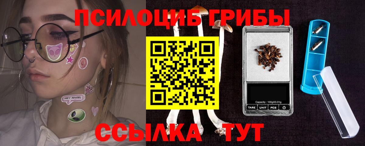 Сызрань  Псилоцибиновые грибы Psilocybine cubensis  Вход с VPN 
